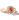 Gaine pour P�nis